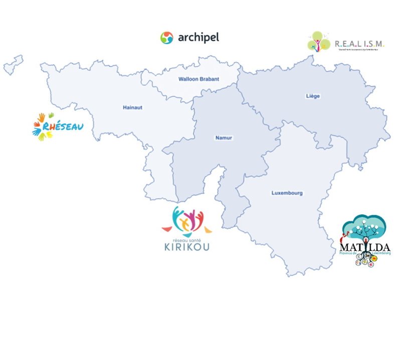 Carte des réseaux intersectoriels en Belgique